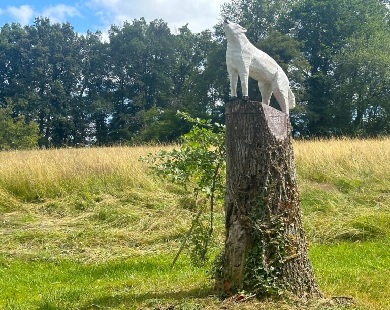 Vidéo. Vieux-Ruffec : un artiste sculpte un magnifique loup dans le tronc d’un arbre susceptible de tomber
